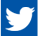 Twitter Logo
